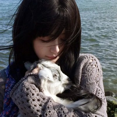 蜡笔小新：呼风唤雨！战国大合战