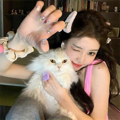 燕南飞，燕难归